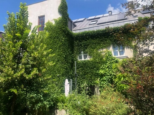 Ogród