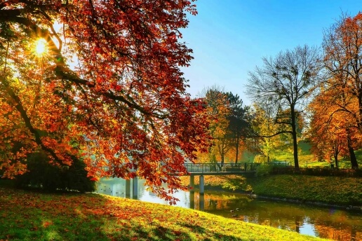 Park w jesiennej odsłonie